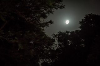 Μέσα στις δροσερές νύχτες του Σεπτέμβρη