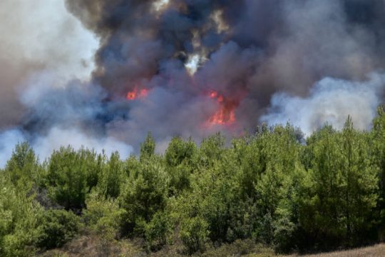 Δασική πυρκαγιά στο Κιλκίς