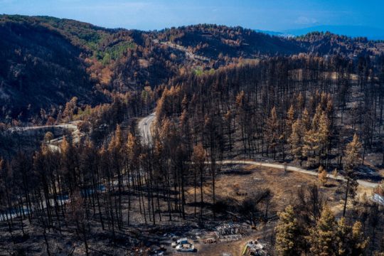 Συλλογή ειδών στην Καλλιθέα για τους πυρόπληκτους της Εύβοιας