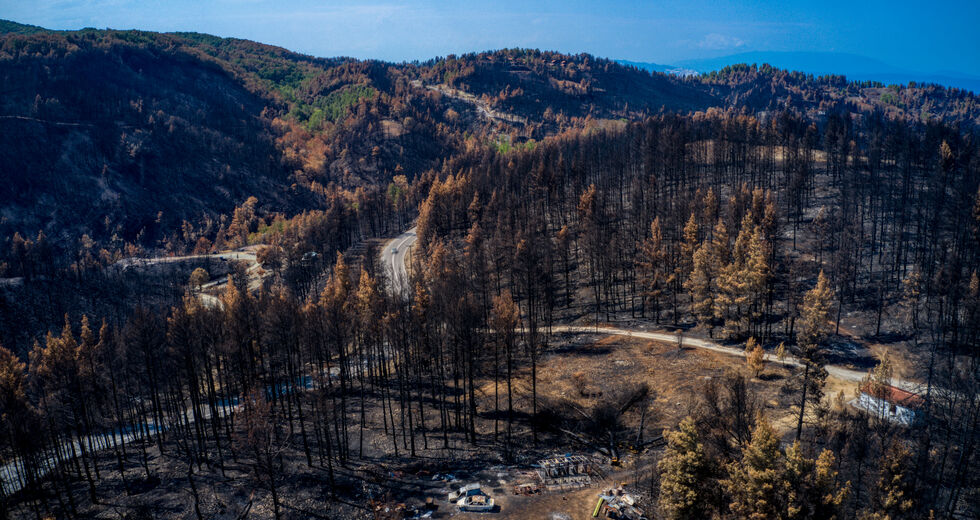 Συλλογή ειδών στην Καλλιθέα για τους πυρόπληκτους της Εύβοιας