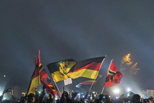 Τι εκπροσωπεί το AfD στις γερμανικές εκλογές;