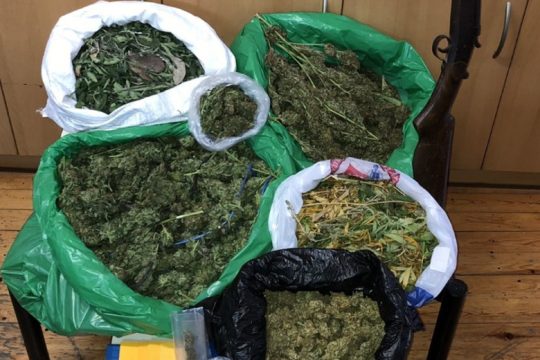 Νέες φυτείες κάνναβης εντόπισε η ΕΛΑΣ στον Μυλοπόταμο Ρεθύμνου