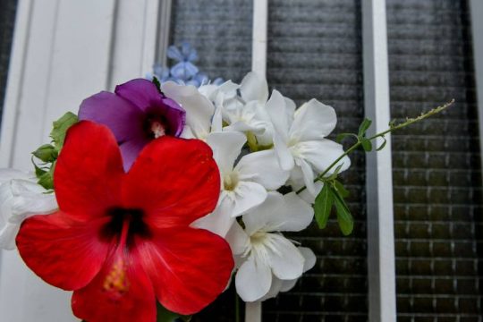 Αύριο συζητούνται τα ασφαλιστικά μέτρα για τον τόπο ταφής του Μίκη