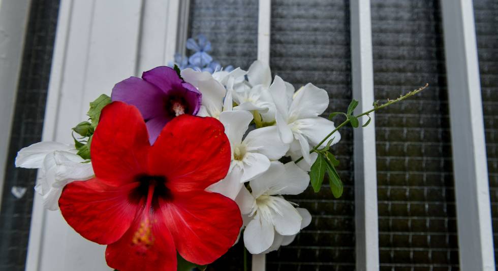 Αύριο συζητούνται τα ασφαλιστικά μέτρα για τον τόπο ταφής του Μίκη