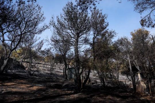 Χωρίς ενεργό μέτωπο η φωτιά στη Ν. Μάκρη – Απειλήθηκαν σπίτια