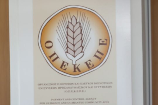 Ακυρώθηκε ως «φωτογραφικός» ο διαγωνισμός για τεχνικό σύμβουλο στον ΟΠΕΚΕΠΕ