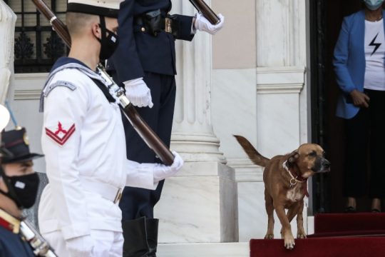 Πολιτική… διαμαρτυρία από τον Πίνατ στο Μαξίμου [βίντεο]