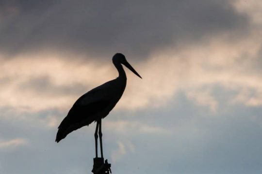 Καλοκαιρία, ζέστη και μέτριοι άνεμοι στο Αιγαίο