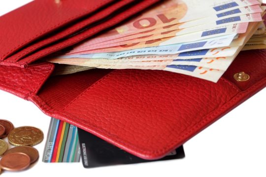 Το Βασικό Εισόδημα στην πράξη