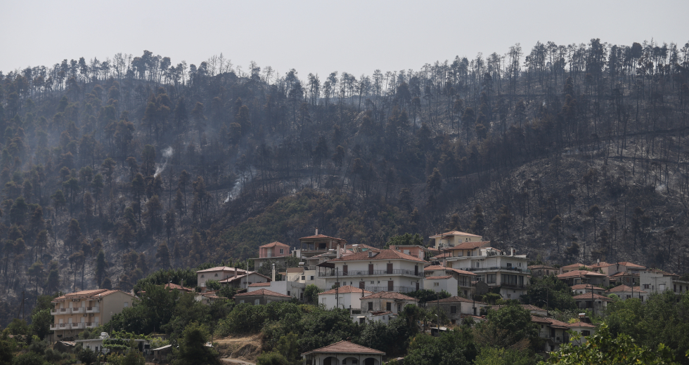 Όλο το ΦΕΚ με την ΚΥΑ για επιχορήγηση αγροτικών εκμεταλλεύσεων των πυρόπληκτων