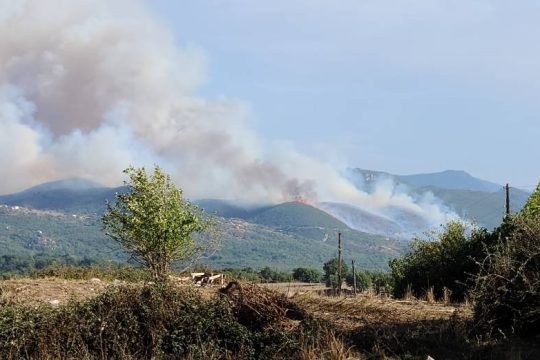 Πυρκαγιά στα Καλύβια Μεγαλόπολης