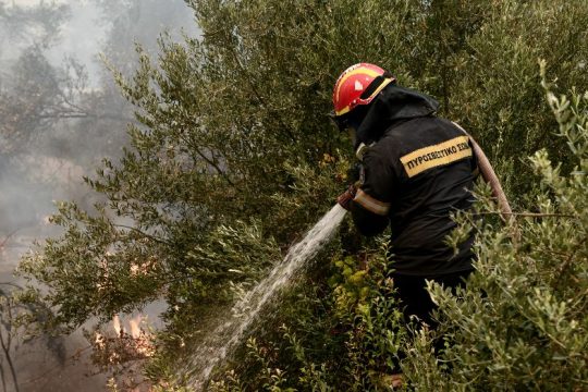 Στο «πορτοκαλί» η Κρήτη – Πολύ υψηλός ο κίνδυνος πυρκαγιών
