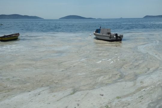 Η Κομισιόν καλεί την Τουρκία και τα κράτη-μέλη να λάβουν μέτρα για τη βλέννα στη θάλασσα