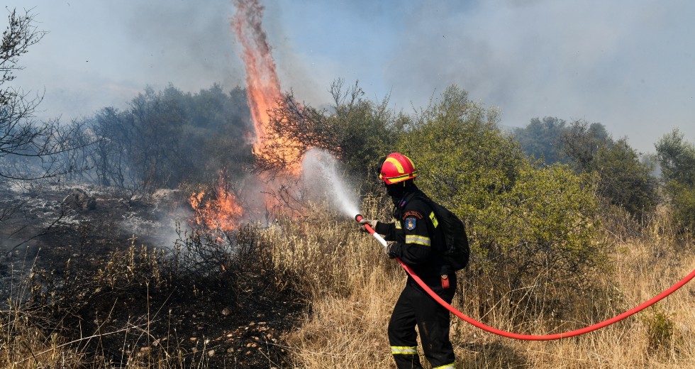 Σε ύφεση το πύρινο μέτωπο στο Δίστομο