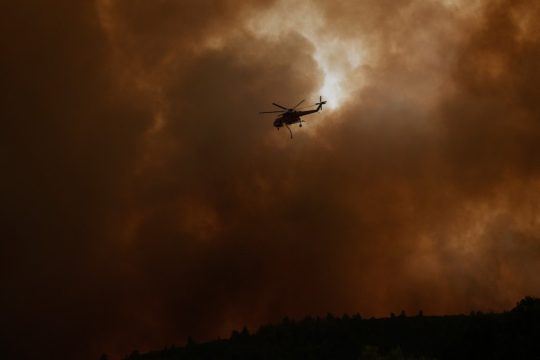 Στάχτη έγινε το 1/6 των δασών της Αττικής τον Αύγουστο
