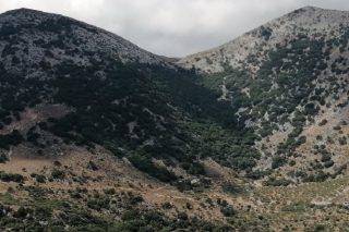 Το Γιαννιό