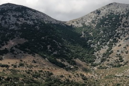 Το Γιαννιό