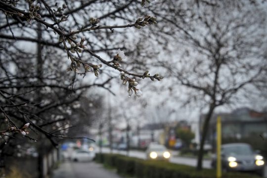 Τοπικές βροχές και ισχυροί άνεμοι