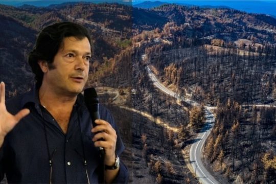 «Ανεξέλεγκτη εισβολή συμφερόντων στα καμένα»
