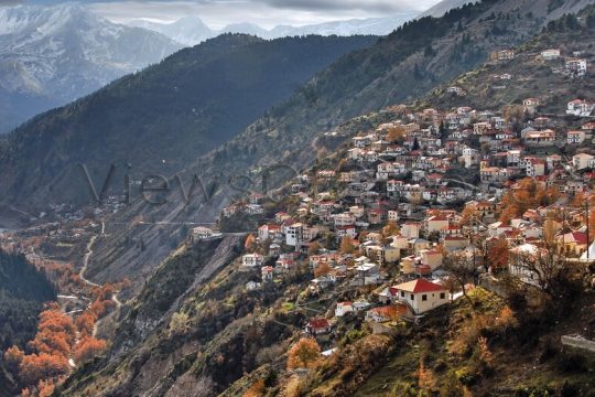 Είναι ακόμη ζωντανοί