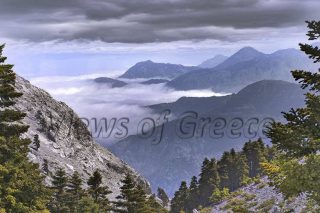 Δίρφη: συναρπαστική, μονοήμερη εκδρομή στο ψηλότερο βουνό της αγαπημένης Εύβοιας
