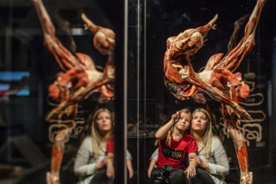 «Εκλεπτυσμένη αναισθητοποίηση απέναντι στη φρίκη»