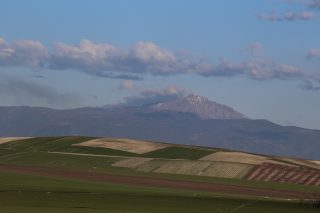 Η καραγκούνα κυρά