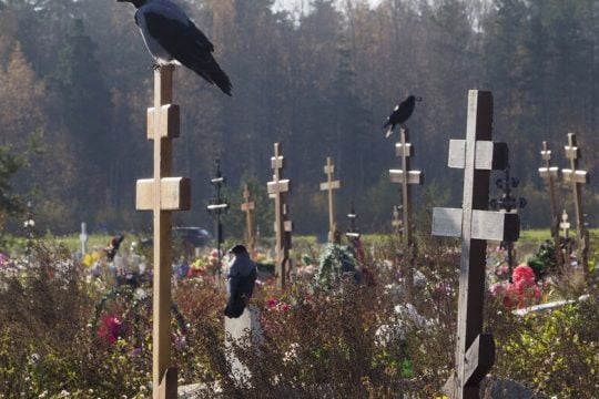 Κοράκια, νεοναζί και «κόκκινα» ελάφια