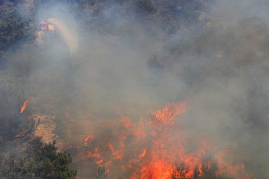 Εκτελέστηκαν στη Συρία 24 καταδικασθέντες για εμπρησμούς
