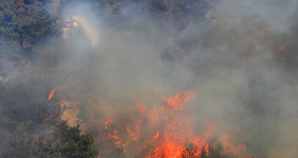 Εκτελέστηκαν στη Συρία 24 καταδικασθέντες για εμπρησμούς