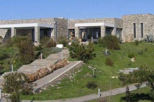 Μουσείο απολιθωμένου δάσους Λέσβου: Η ιστορία της δημιουργίας του
