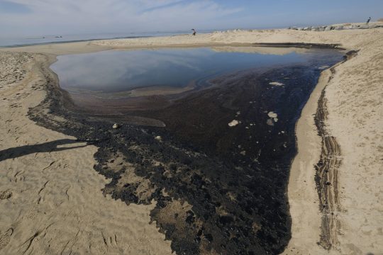 «Οικολογικό θάνατο» προκάλεσε πετρελαιοκηλίδα στις ακτές της Καλιφόρνιας