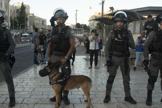 Μπαράζ καταστολής και καταπίεσης κατά των Παλαιστινίων