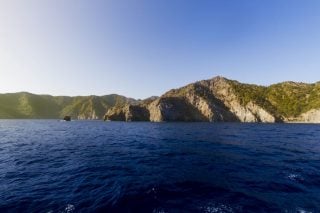 Οδύσσεια. Ραψωδία ψ`. κόμας, ὑακινθίνῳ ἄνθει ὁμοίας, 158