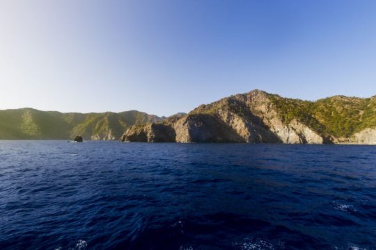 Οδύσσεια. Ραψωδία ψ`. κόμας, ὑακινθίνῳ ἄνθει ὁμοίας, 158