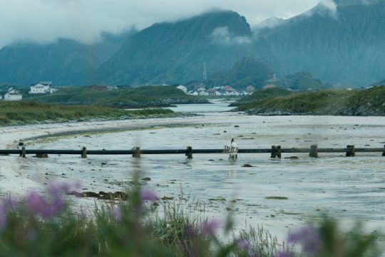 Τα τραγούδια της εβδομάδας (18 – 24 Οκτωβρίου)