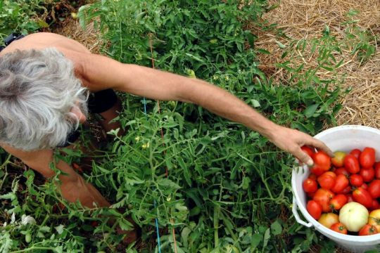 Πατριωτική στάση η διατροφική επάρκεια της χώρας