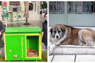 Αντίο στον ελεύθερο σκύλο (Αρκούδη) που είμαστε όλοι