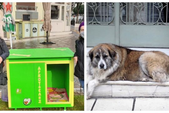 Αντίο στον ελεύθερο σκύλο (Αρκούδη) που είμαστε όλοι