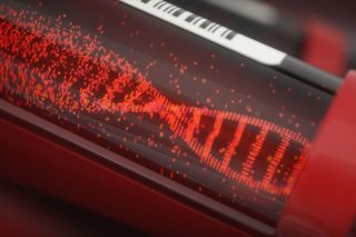 Dna μαγειρέματα και ξανά Καλαρέμας