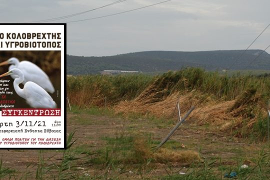 Συγκέντρωση κατά των φωτοβολταϊκών στον Κολοβρέχτη