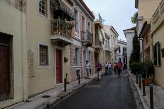 Φυλλοβόλα μυαλά