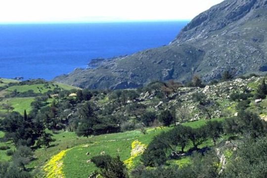 «Στράτα των Μουσούρων»: Νέο δίκτυο πεζοπορικών διαδρομών στον Πλατανιά