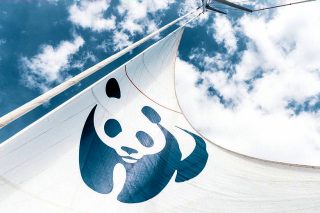 30 χρόνια δράσης για το WWF Ελλάς