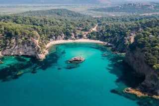 Εδωσαν σε ιδιώτες το δάσος της Βαλανιδορράχης