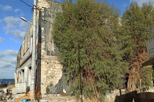 Κόβουν ξανά δέντρα στο Ηράκλειο – Ένταση μεταξύ κατοίκων και Δήμου