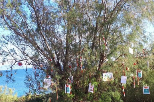 «Απόνερα» από το παράνομο έργο στο Μπλε Λιμανάκι Ραφήνας