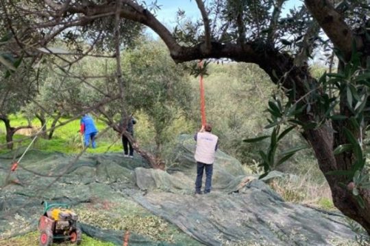 Επιστολή αγροτών της Ιεράπετρας για την έλλειψη εργατών γης