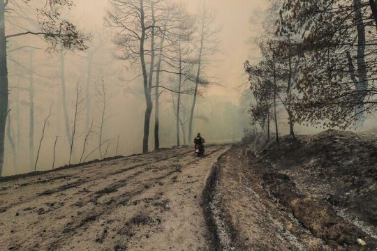 Φόβος και δυσπιστία