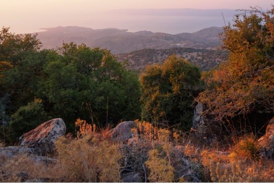 Στις πλαγιές του νησιού